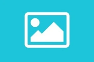TikTok Bulk Downloader